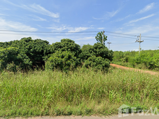 For sale land in Soi Dao, Chanthaburi