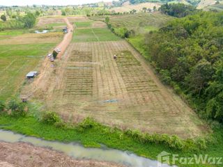 For sale land in Khao Kho, Phetchabun
