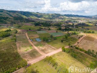 For sale land in Khao Kho, Phetchabun