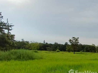 For sale land in Phibun Mangsahan, Ubon Ratchathani