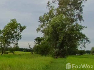 For sale land in Phibun Mangsahan, Ubon Ratchathani