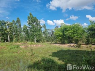 For sale land in Phibun Mangsahan, Ubon Ratchathani