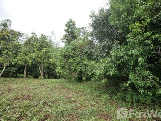 For sale land in Pong Nam Ron, Chanthaburi
