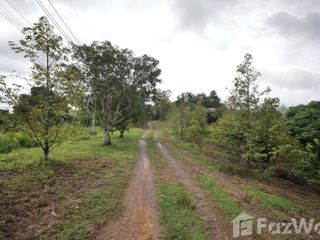 For sale land in Pong Nam Ron, Chanthaburi