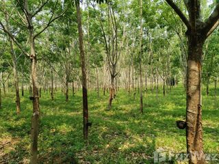 For sale land in Pak Chom, Loei
