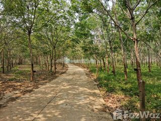 For sale land in Pak Chom, Loei
