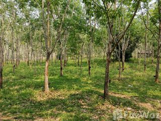 For sale land in Pak Chom, Loei