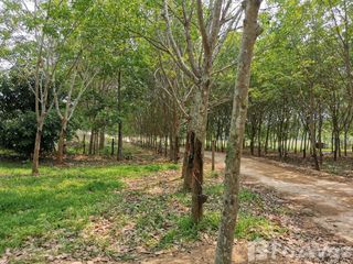 For sale land in Pak Chom, Loei