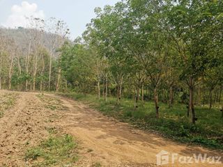 For sale land in Pak Chom, Loei