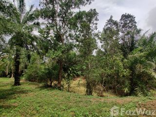 For sale land in Sawi, Chumphon