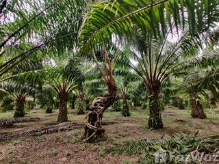 For sale land in Sawi, Chumphon