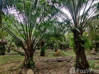 For sale land in Sawi, Chumphon