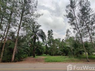 For sale land in Sawi, Chumphon