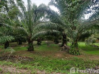 For sale land in Sawi, Chumphon