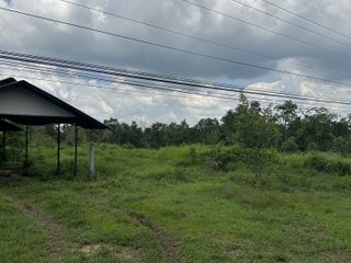For sale land in Phibun Mangsahan, Ubon Ratchathani