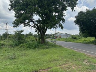 For sale land in Phibun Mangsahan, Ubon Ratchathani