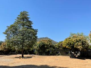 For sale land in Muak Lek, Saraburi