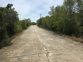 For sale land in Pak Phanang, Nakhon Si Thammarat
