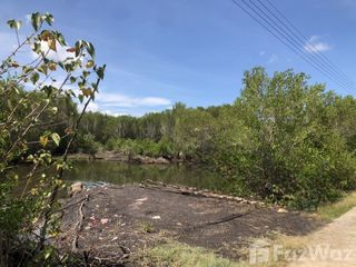 For sale land in Pak Phanang, Nakhon Si Thammarat