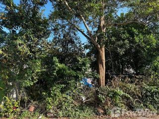 For sale land in Hat Yai, Songkhla