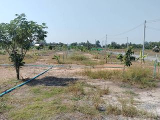 For sale land in Ban Na, Nakhon Nayok