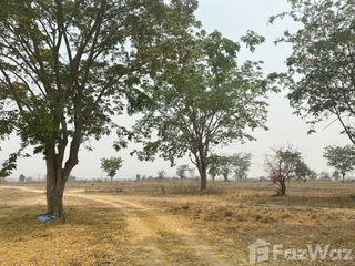 For sale land in Pa Daet, Chiang Rai