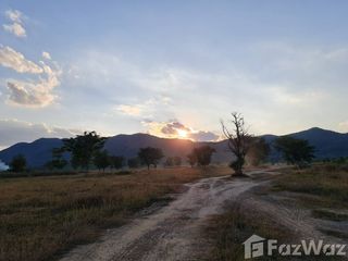 For sale land in Pa Daet, Chiang Rai
