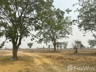 For sale land in Pa Daet, Chiang Rai