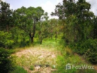 For sale land in Phibun Mangsahan, Ubon Ratchathani