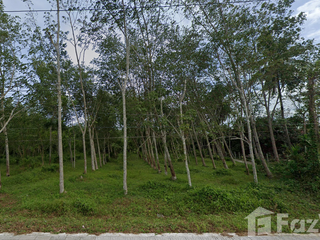 For sale land in Lan Saka, Nakhon Si Thammarat