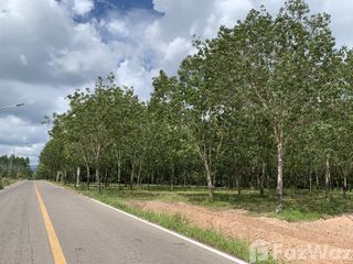 For sale land in Na Di, Prachin Buri
