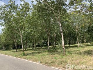 For sale land in Na Di, Prachin Buri