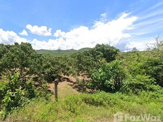 For sale land in Mae Tha, Lamphun