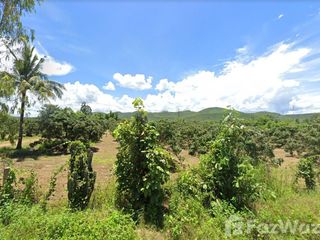 For sale land in Mae Tha, Lamphun