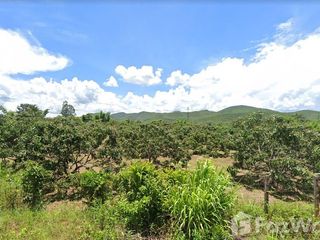 For sale land in Mae Tha, Lamphun