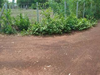 For sale land in Mueang Sakon Nakhon, Sakon Nakhon