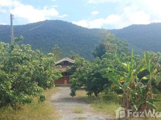 For sale land in Mueang Lamphun, Lamphun
