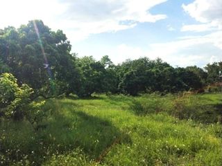 For sale land in Mueang Lamphun, Lamphun