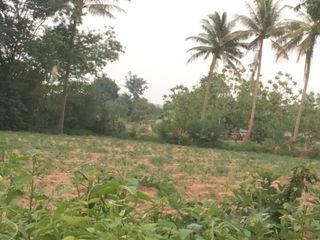 For sale land in Kosum Phisai, Maha Sarakham