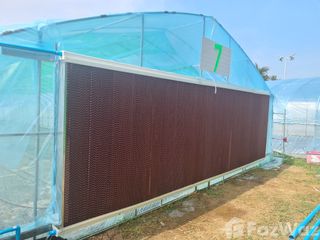 For sale land in Khao Yoi, Phetchaburi