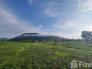 For sale land in Dan Chang, Suphan Buri