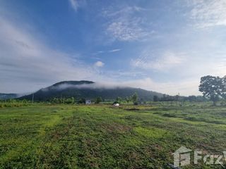 For sale land in Dan Chang, Suphan Buri