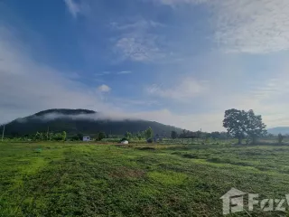 For sale land in Dan Chang, Suphan Buri
