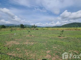 For sale land in Dan Chang, Suphan Buri