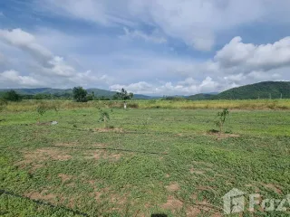 For sale land in Dan Chang, Suphan Buri