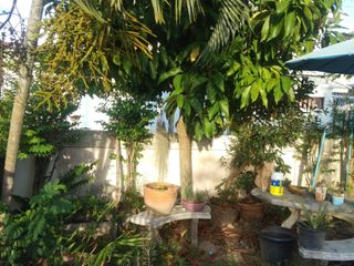 For sale 2 Beds townhouse in Mueang Rayong, Rayong