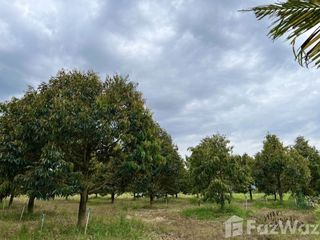 For sale land in Khlung, Chanthaburi