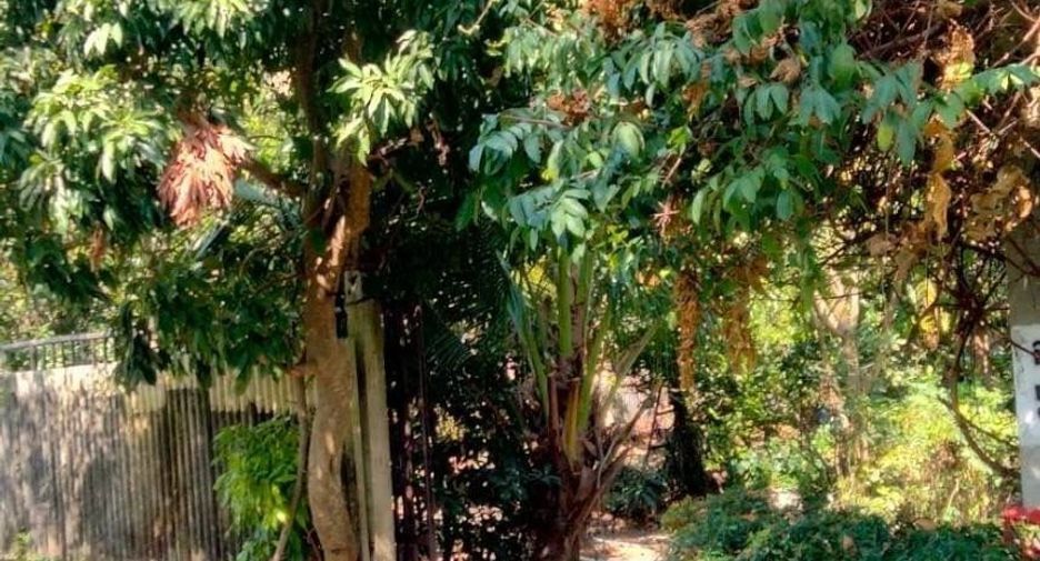 For sale 2 bed house in Sai Noi, Nonthaburi