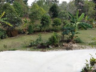For sale 5 bed house in Mueang Chiang Rai, Chiang Rai
