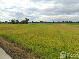 For sale land in Phachi, Phra Nakhon Si Ayutthaya